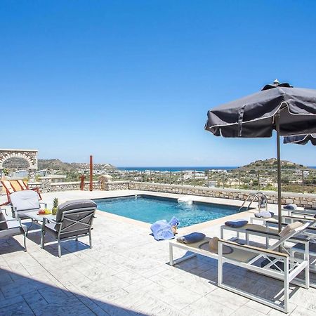 Des & Coo Luxury Villa With Private Pool 法里拉基 外观 照片